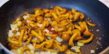 грибы лисички