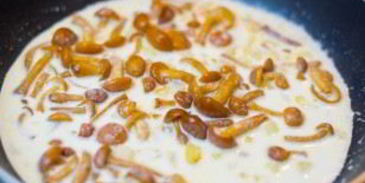 грибы лисички