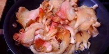 грибы под соусом бешамель