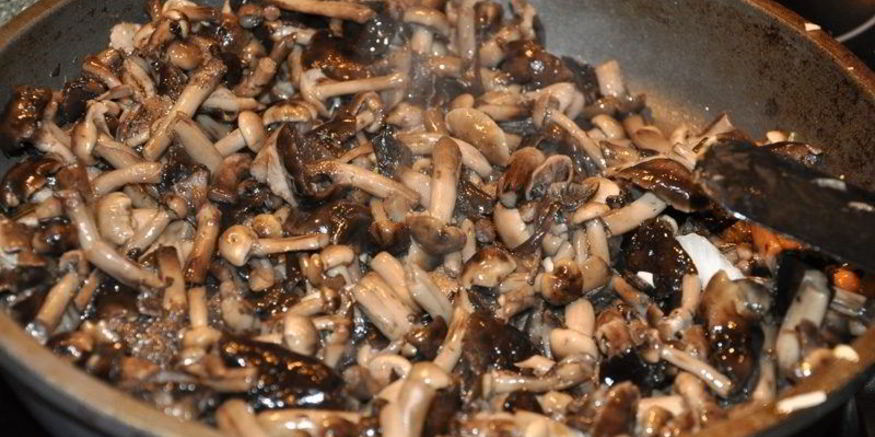 Рецепт опят тушеных