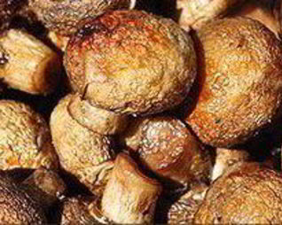 Шампиньоны на мангале