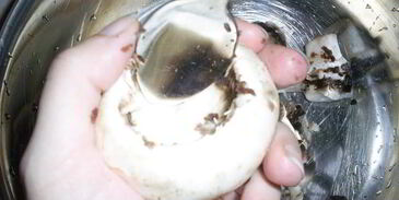 закусочные фаршированные шампиньоны