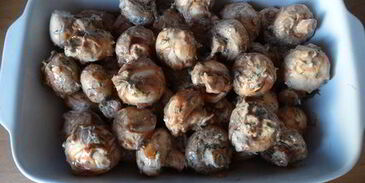 запеченные грибочки