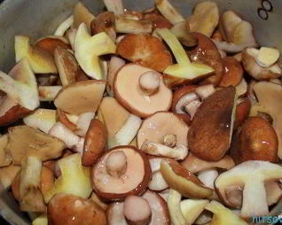 Запеченные маслята