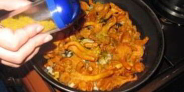 картофельное пюре с лисичками