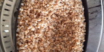 куриные котлетки с белым соусом и гречкой на пару