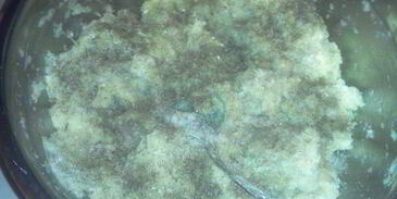 самые вкусные рыбные котлеты