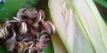 лазанья кабачковая