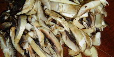 лазанья с баклажаном