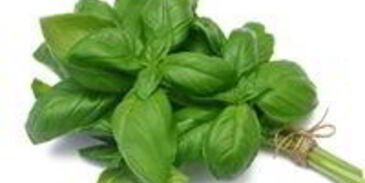 волшебный салат-паста кабрунари