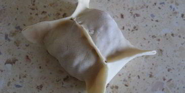 манты казахстанские