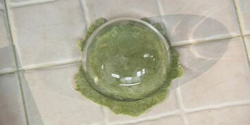 зеленые манты с тыквой