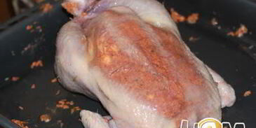 курочка фаршированная ароматным маслом