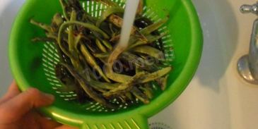 лобио из стручковой фасоли с яйцом по-грузински