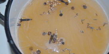 острые закусочные кабачки