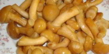 печень говяжья тушеная