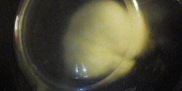 пельмени из курицы и говядины