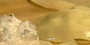 жареные эби-вонтоны