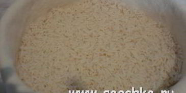 плов крокодил на пире