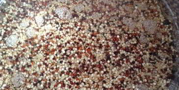 фрикасе из утки с киноа