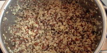 фрикасе из утки с киноа