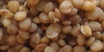 овощное рагу с чечевицей