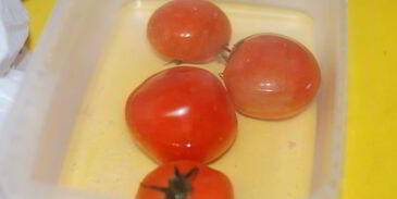 запеченное овощное рагу с мясным фаршем