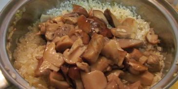 ризотто с белыми грибами со сливками