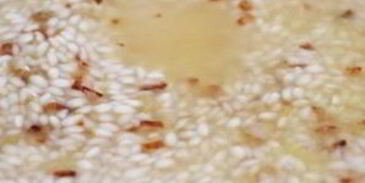 ризотто с вялеными помидорами