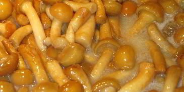 зеленое ризотто с опятами и креветками