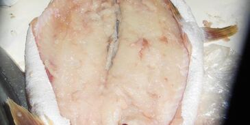 щука фаршированная в легкую