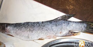 щука фаршированная в легкую