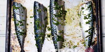 скумбрия в духовке