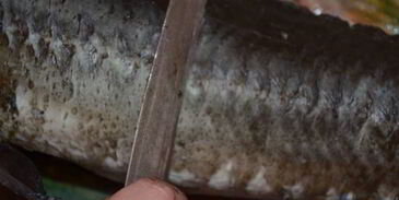 запеченный осетр