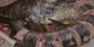 запеченный осетр