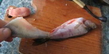 жареный окунь