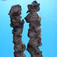 Рецепт Шашлыка из говядины с лаймом