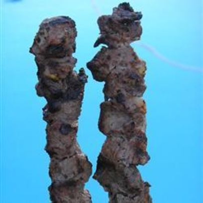 Шашлык из говядины с лаймом