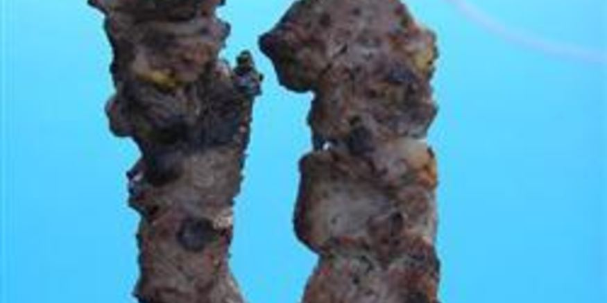 Рецепт шашлыка из говядины с лаймом