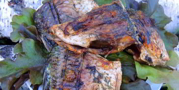 шашлык из карася