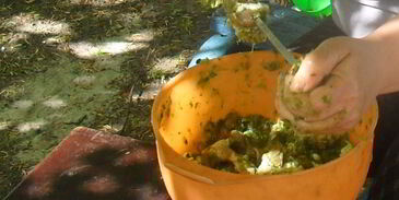 шашлык из свинины весенний аромат