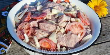 шашлык из свиной вырезки