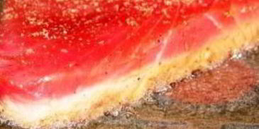 стейк из красной рыбы