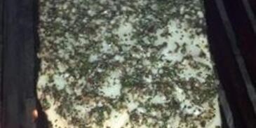 стейк из рыбы на гриле