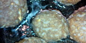 тефтели в грибном соусе