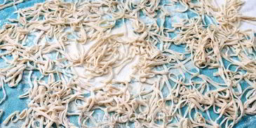 яичная лапша