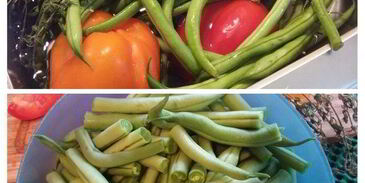 жаркое со стручковой фасолью