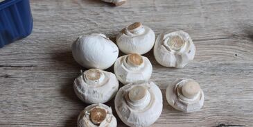 гречка с грибами и луком в мультиварке