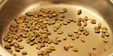 гречка с грибами и семечками