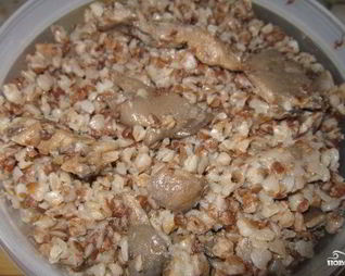 Гречка с вешенками